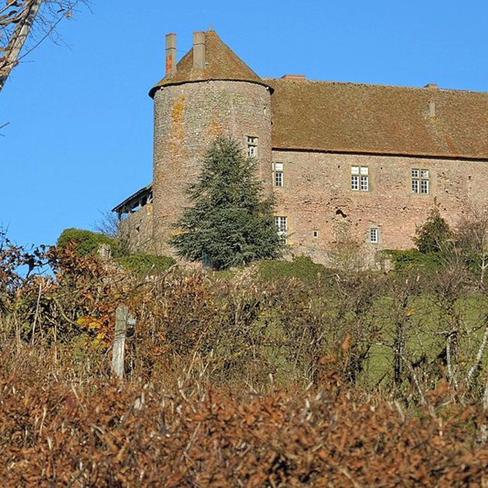 Photo de Château de Montperroux