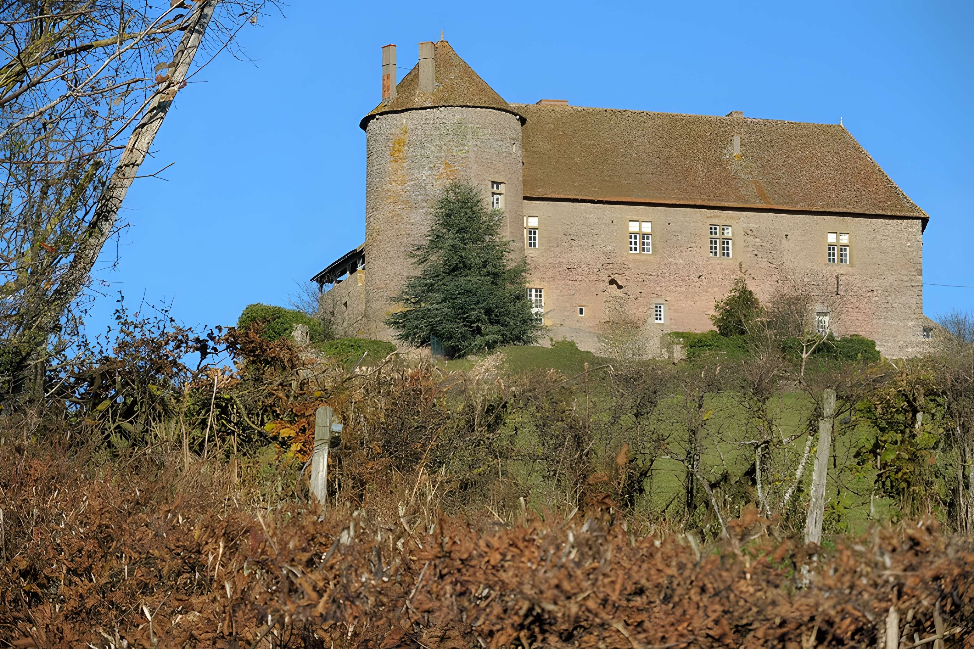 Château de Montperroux