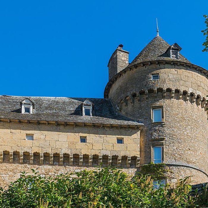 Photo de Château de Montrozier