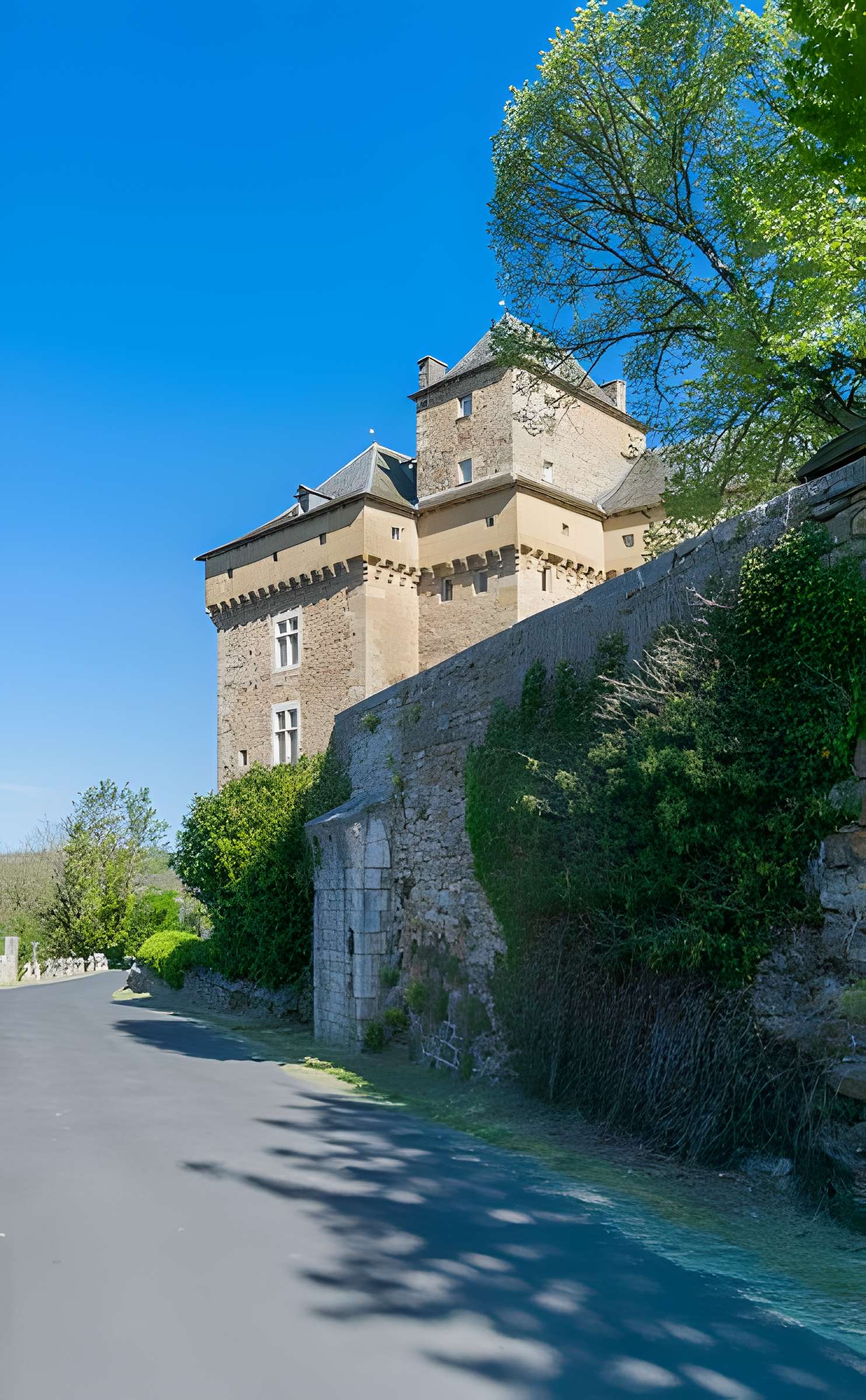 Château de Montrozier