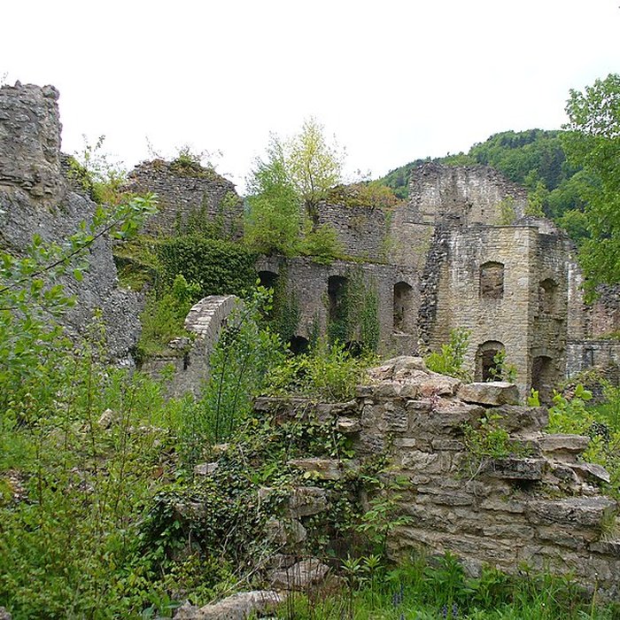 Photo de Château de Morimont
