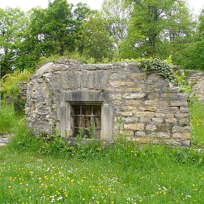 Photo de Château de Morimont