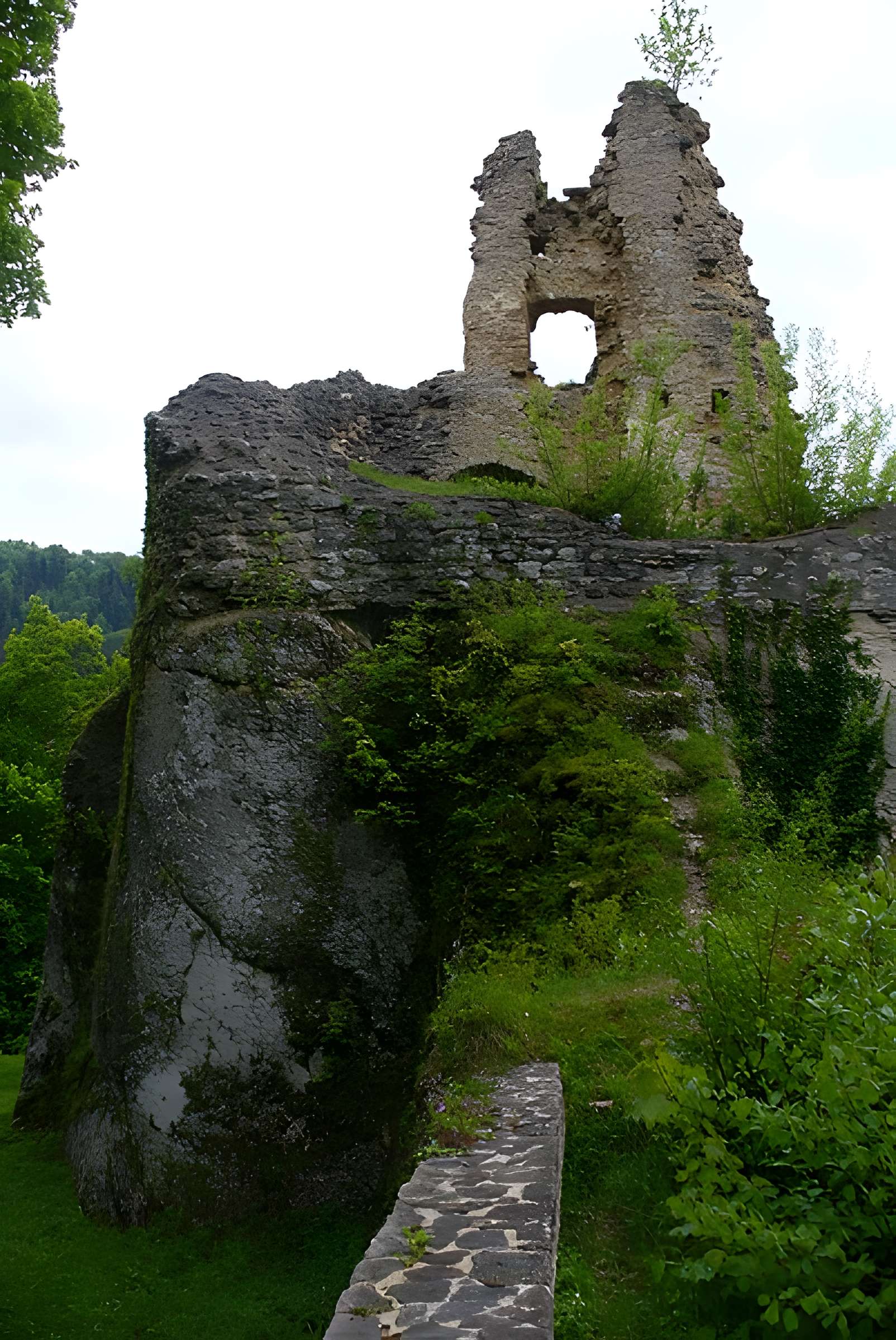 Château de Morimont