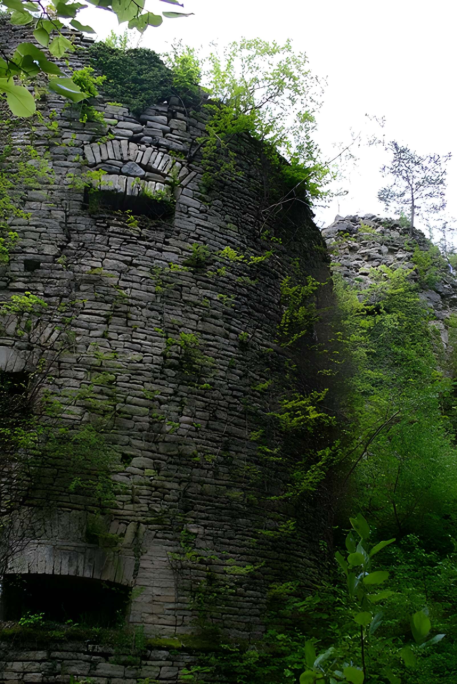 Château de Morimont