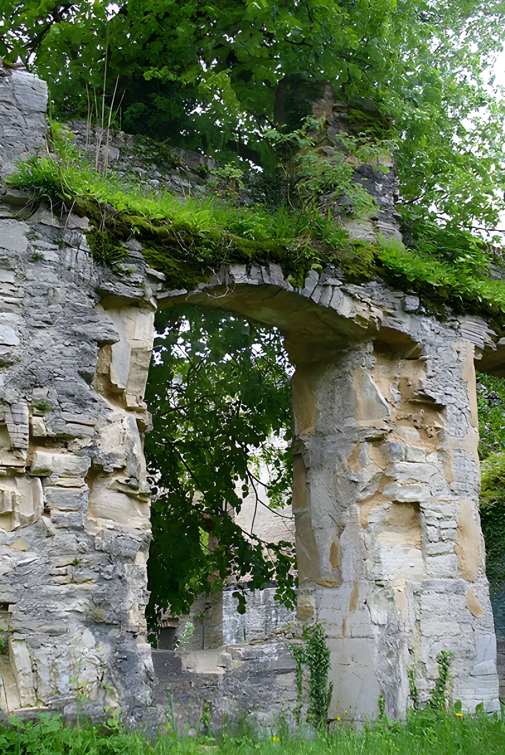 Château de Morimont