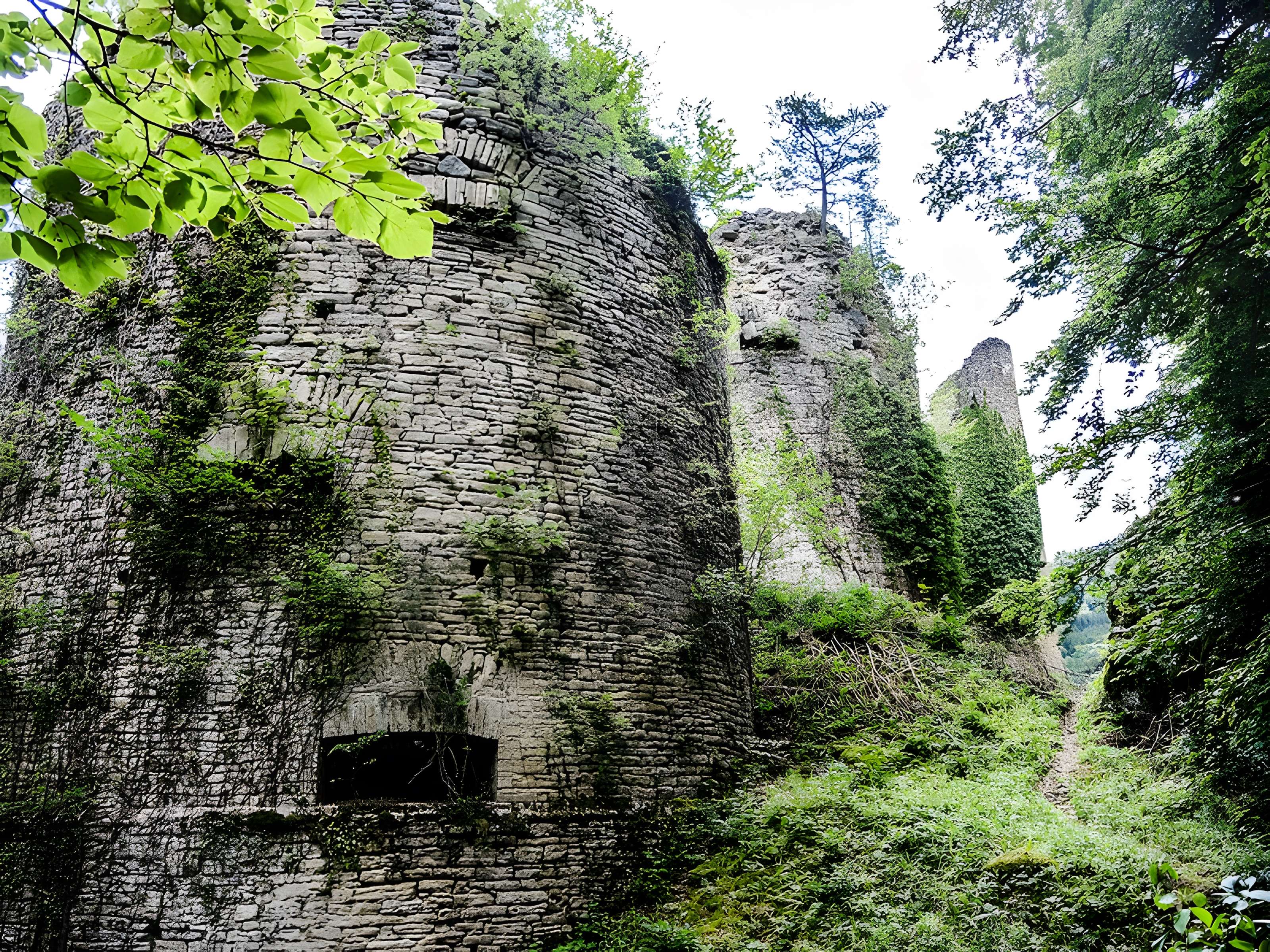 Château de Morimont