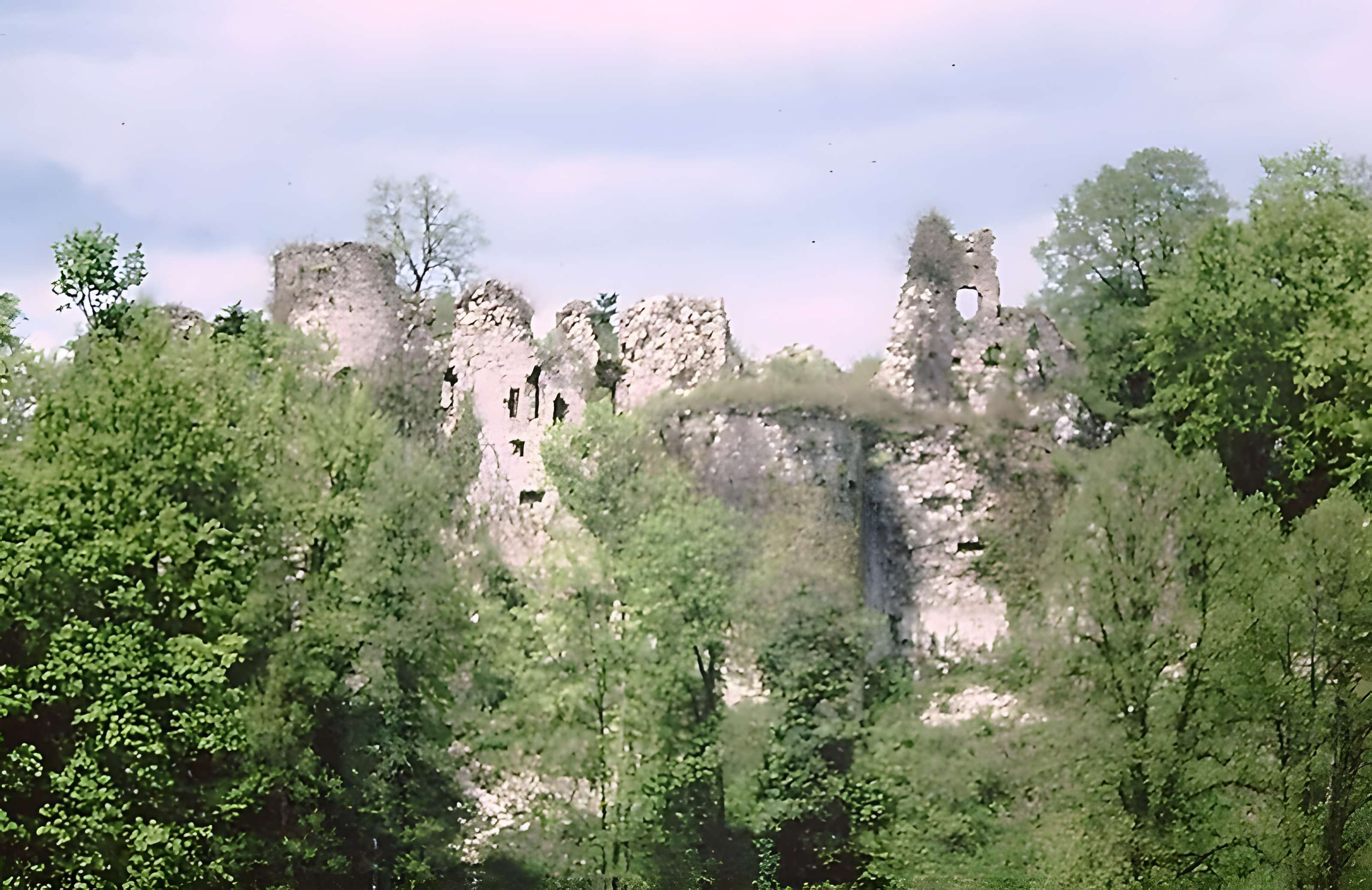 Château de Morimont