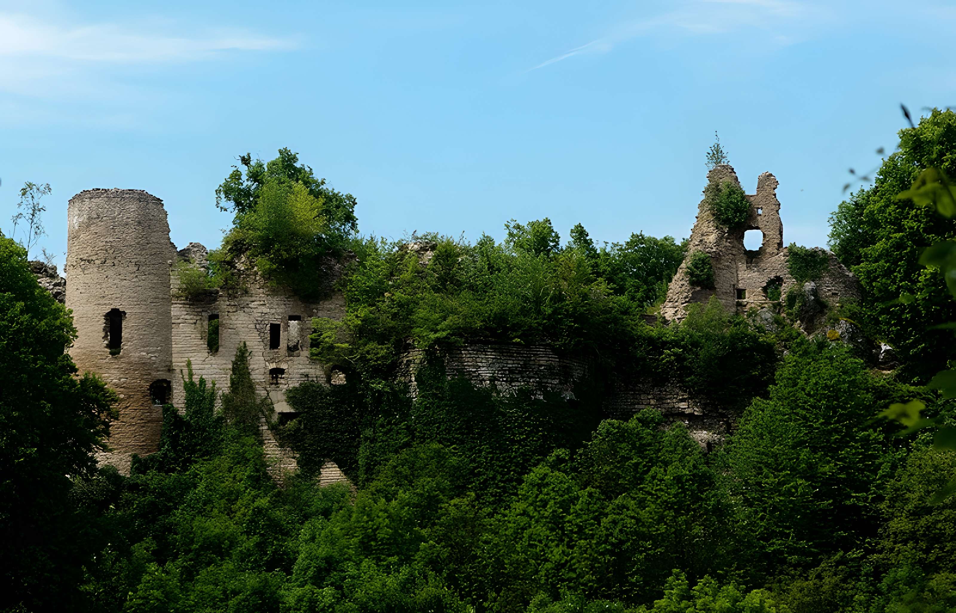 Château de Morimont