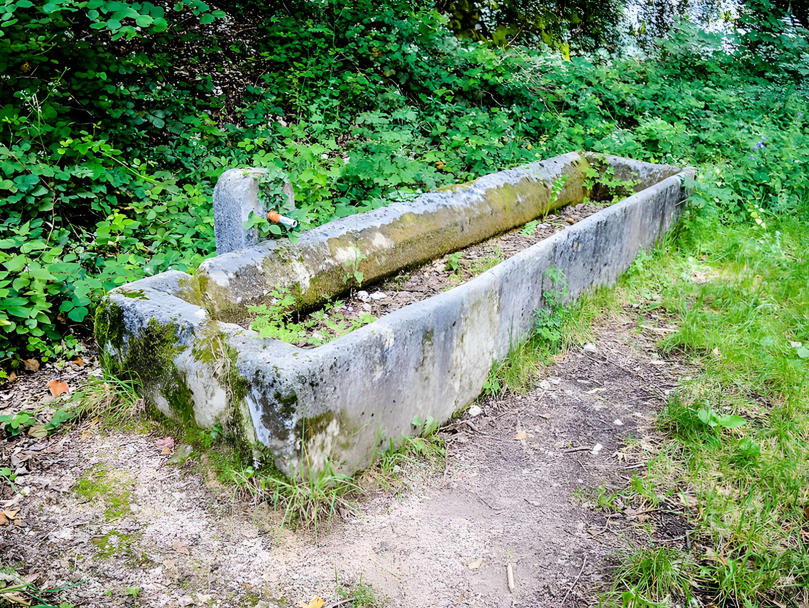 Château de Morimont