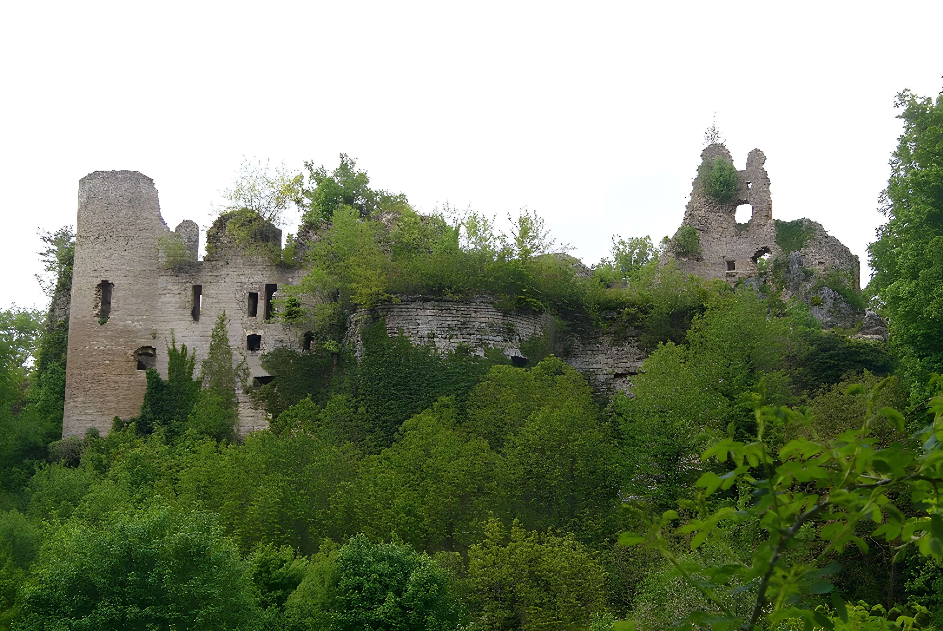 Château de Morimont