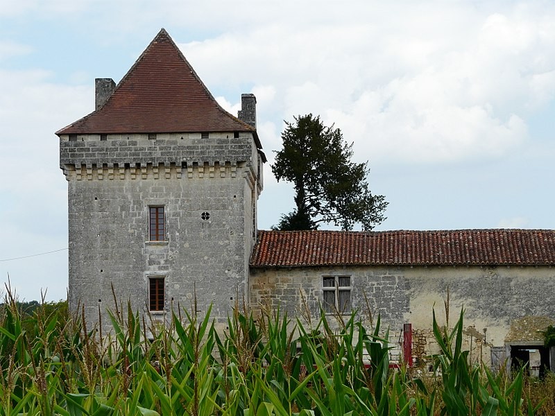 Photo de Château de Narbonne