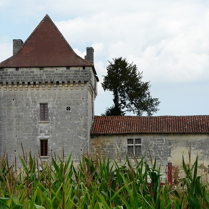 Photo de Château de Narbonne