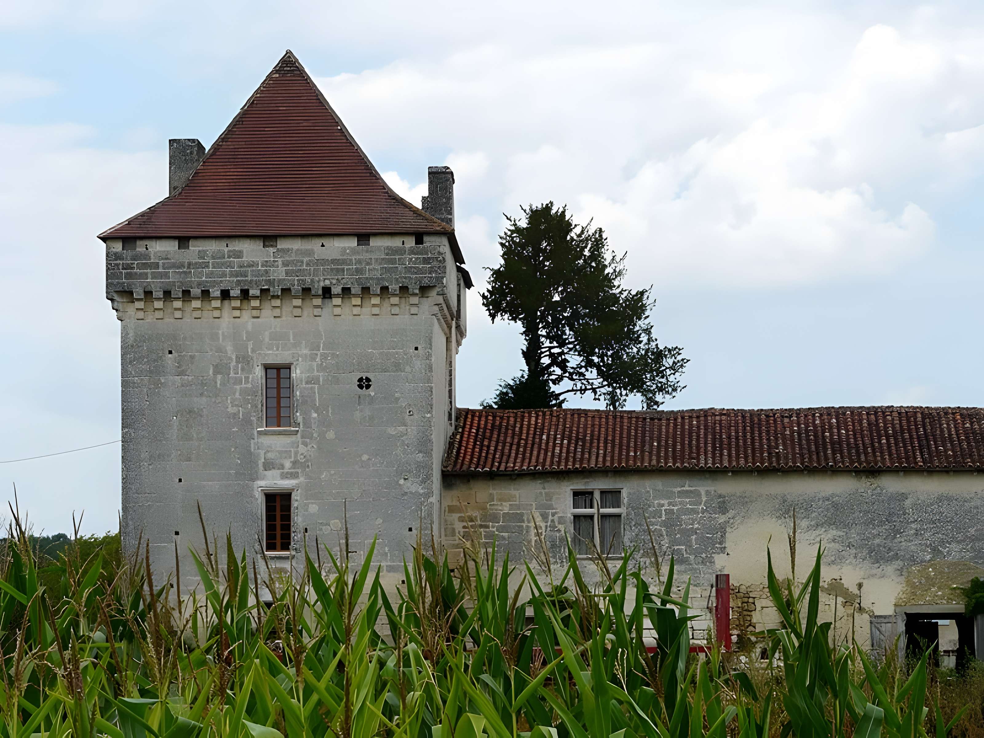 Château de Narbonne 
