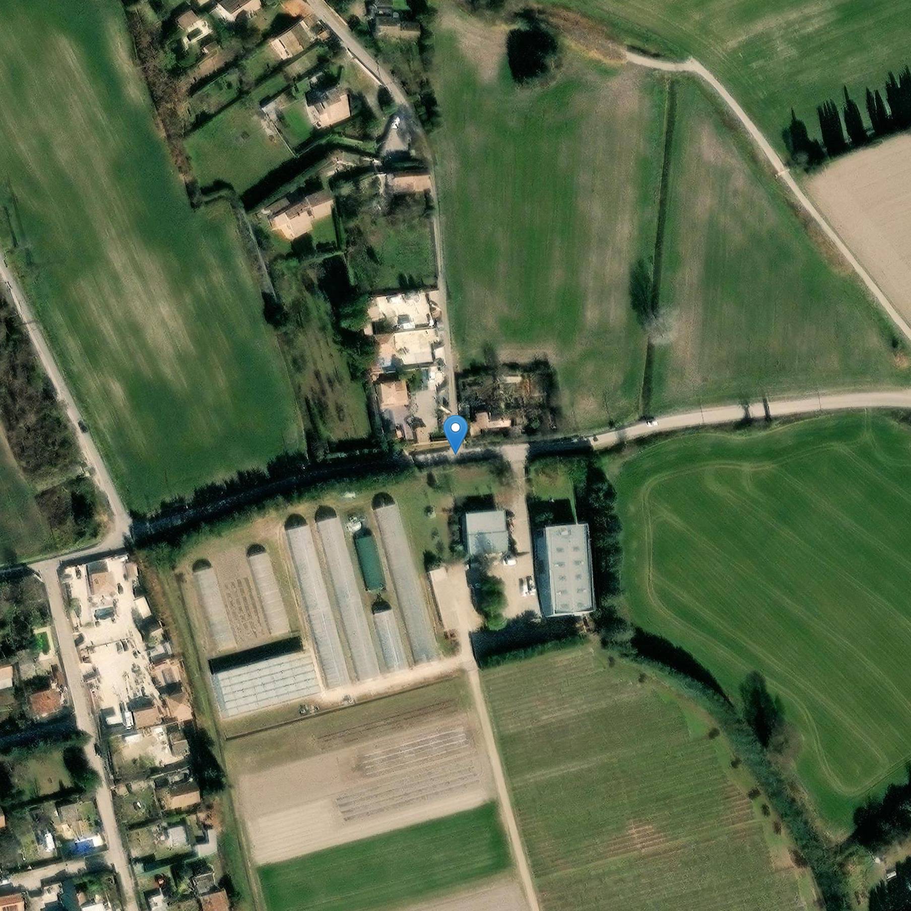 Photo de 尼姆斯改良寺(巴沙斯道)