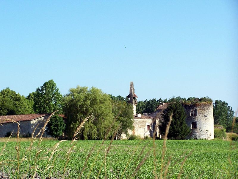 Photo de Château de Noaillan