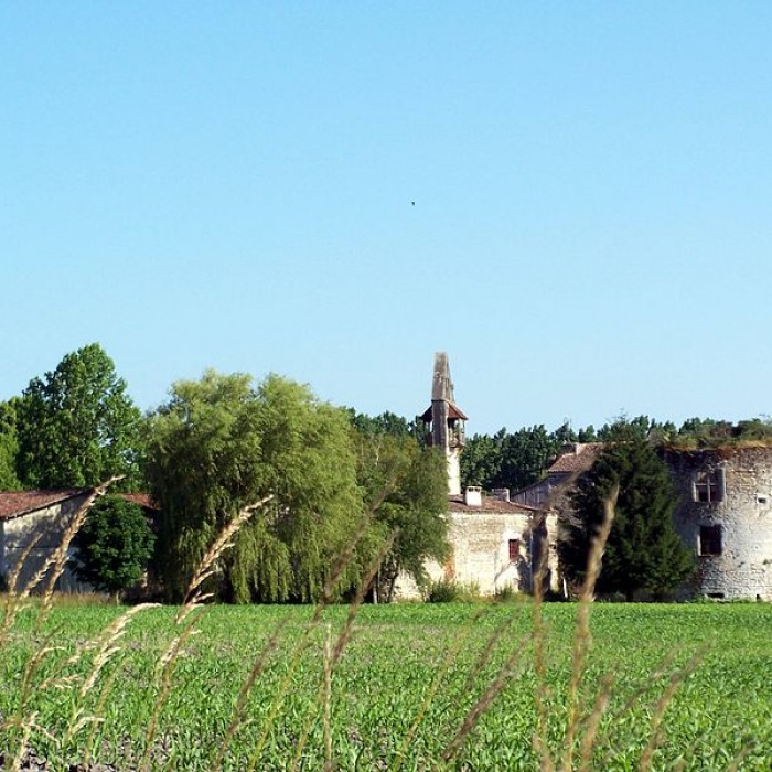 Photo de Château de Noaillan