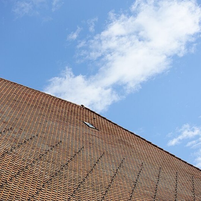 Photo de Château de Novel