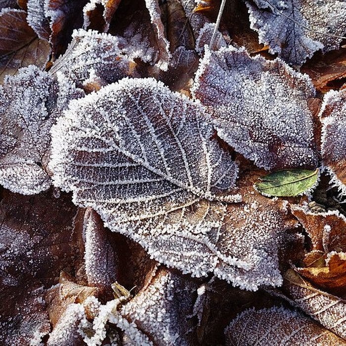 Photo de Château de Novel