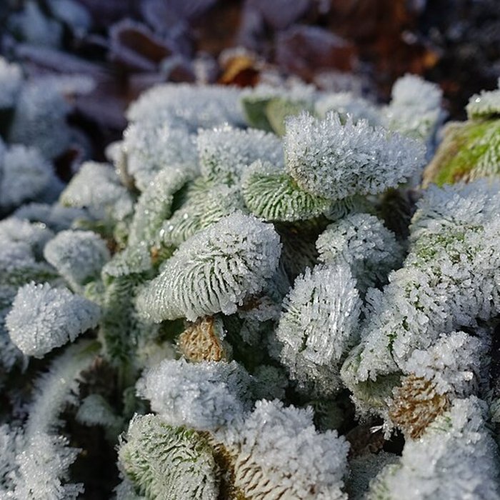 Photo de Château de Novel