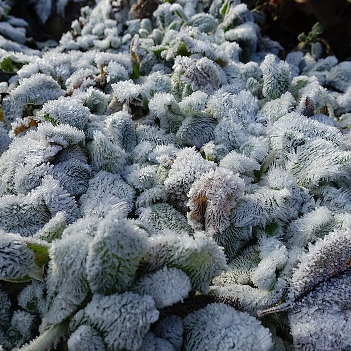 Photo de Château de Novel