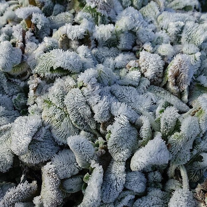 Photo de Château de Novel