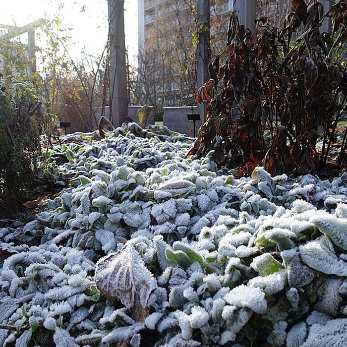 Photo de Château de Novel