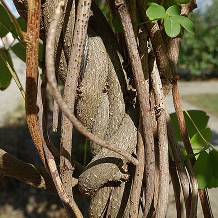 Photo de Château de Novel