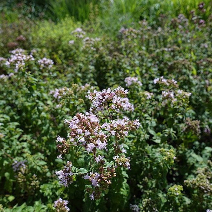 Photo de Château de Novel