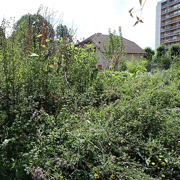 Photo de Château de Novel