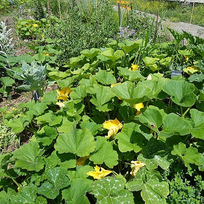 Photo de Château de Novel