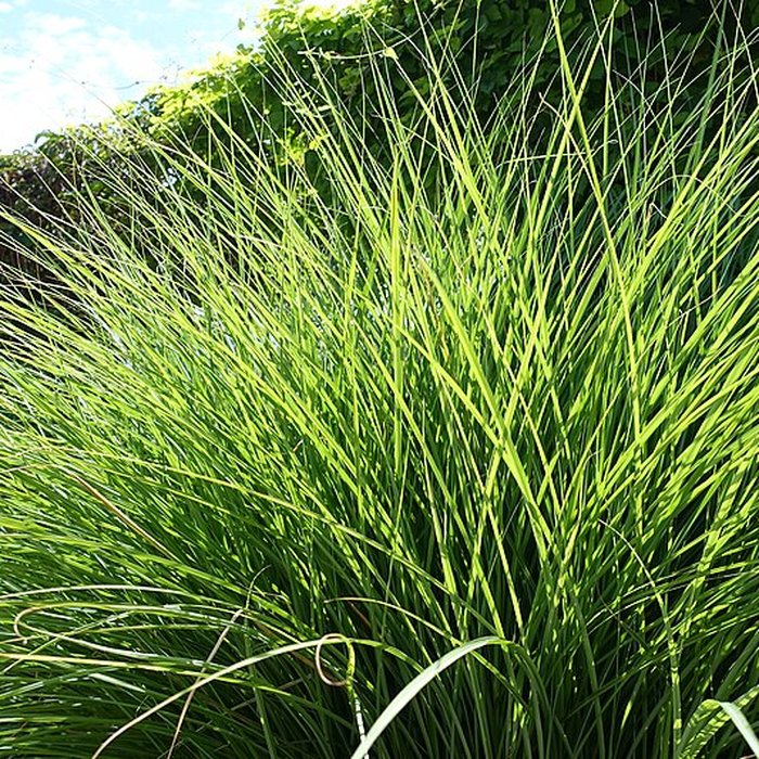 Photo de Château de Novel