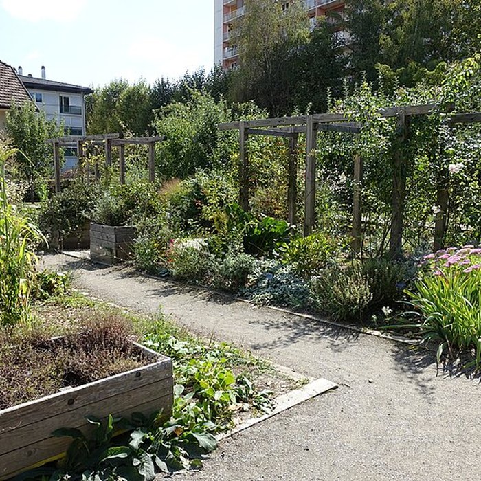 Photo de Château de Novel