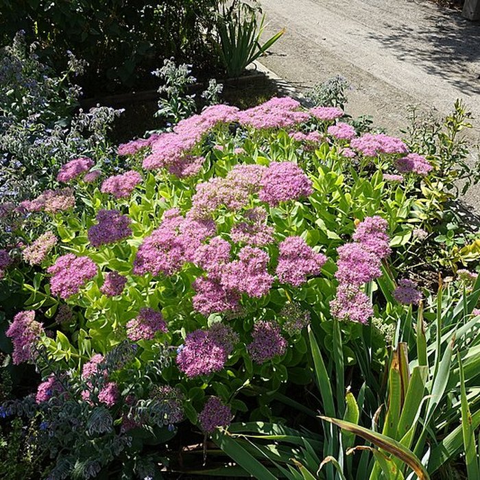 Photo de Château de Novel