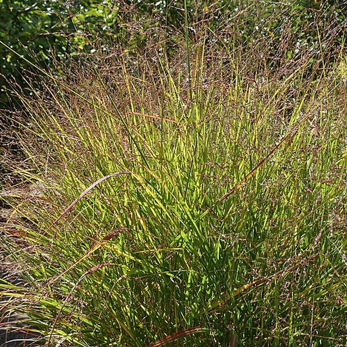 Photo de Château de Novel
