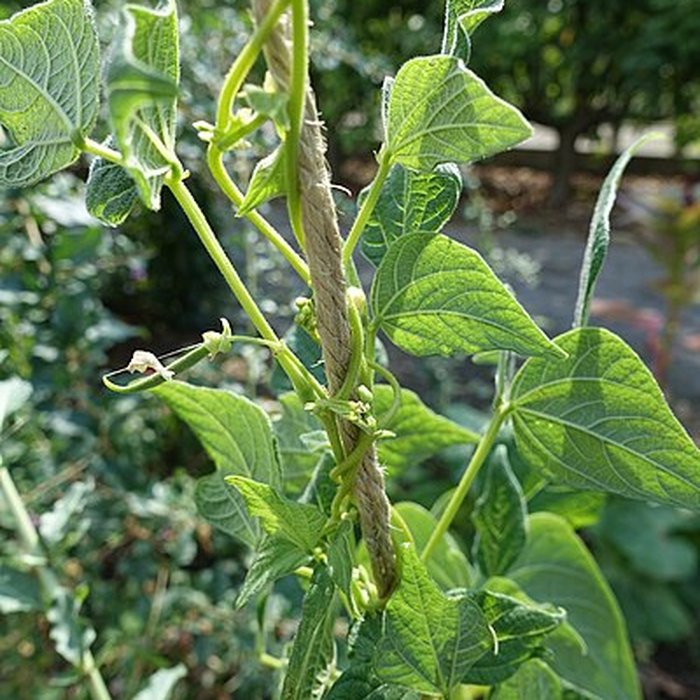 Photo de Château de Novel