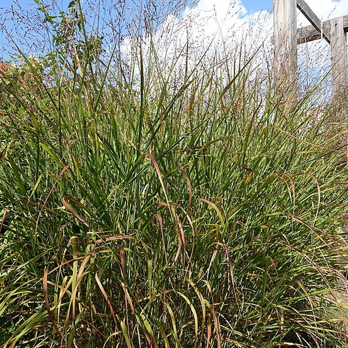 Photo de Château de Novel