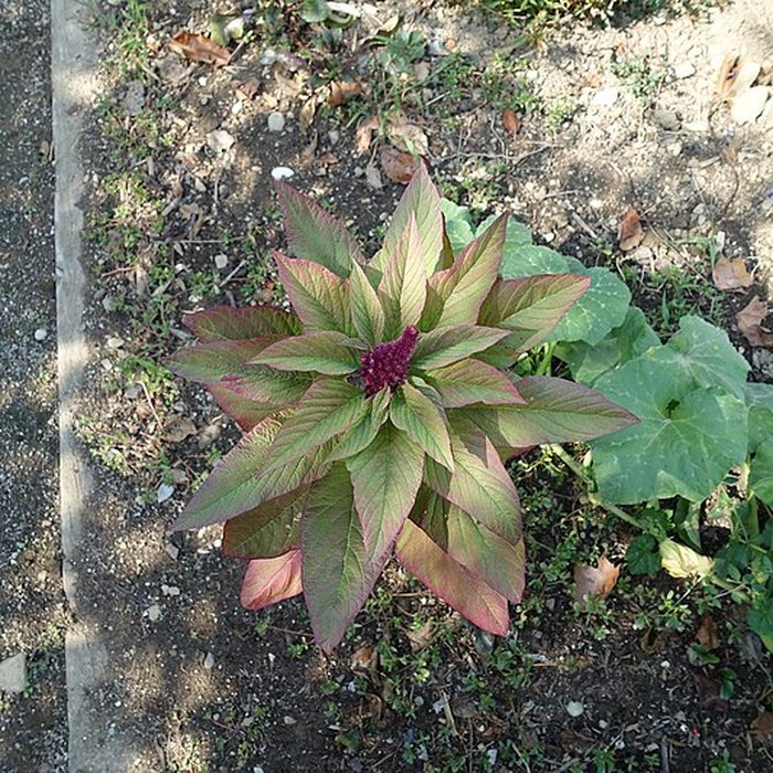 Photo de Château de Novel