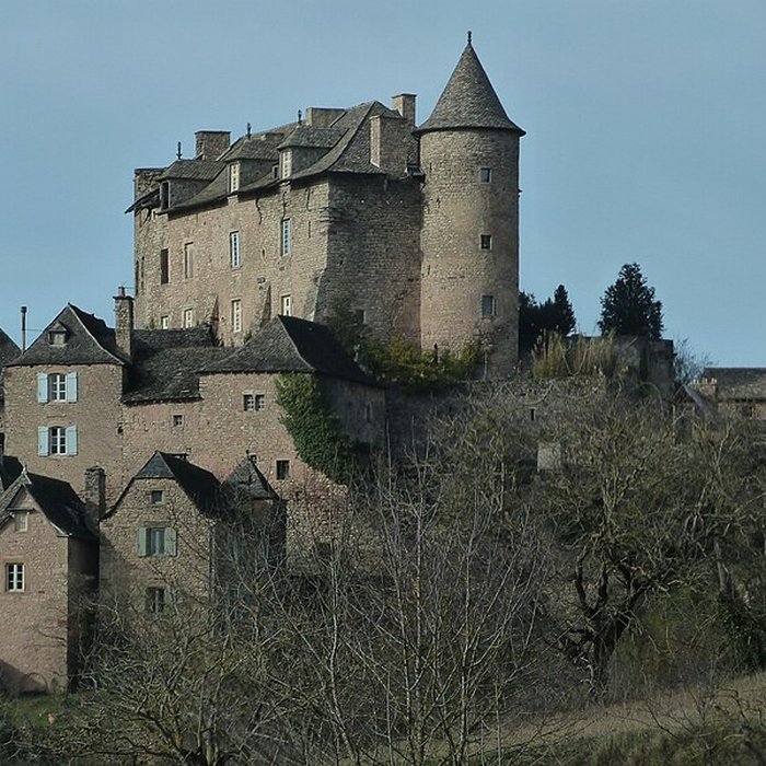 Photo de Château de Panat