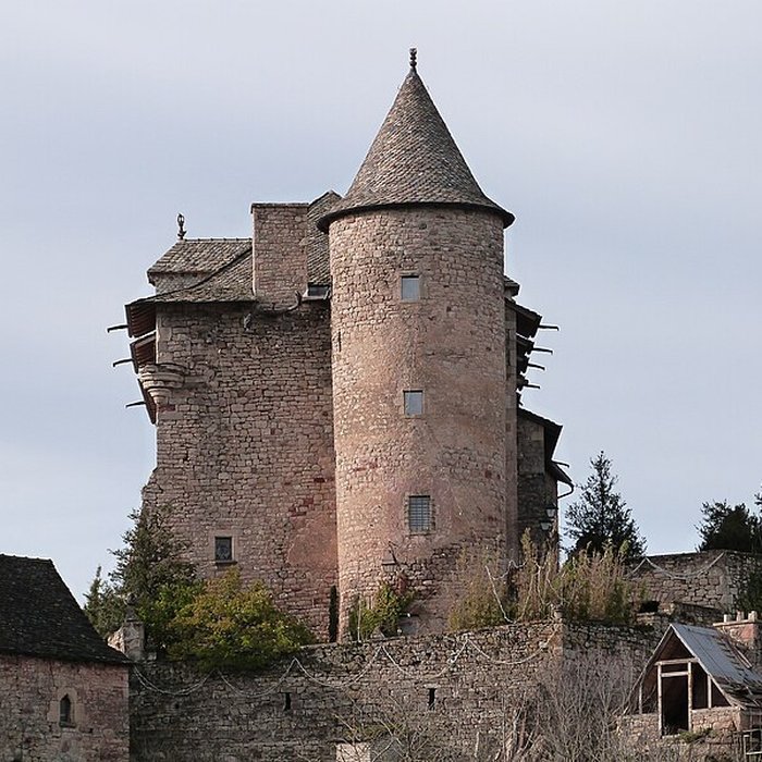 Photo de Château de Panat