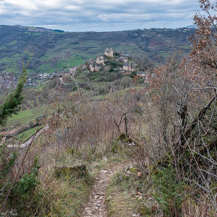 Photo de Château de Panat