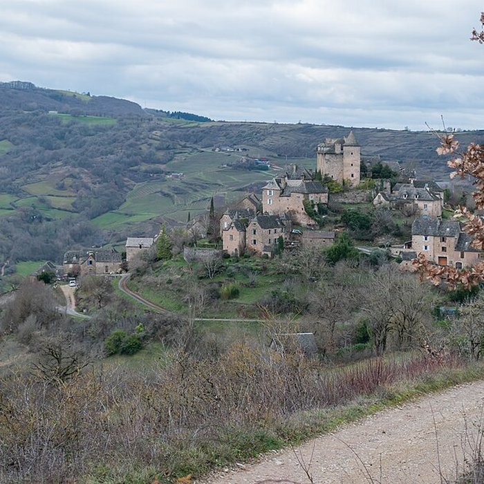 Photo de Château de Panat