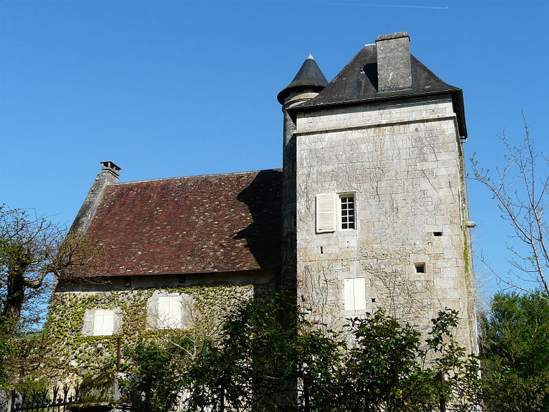 Photo de Château de Pommier