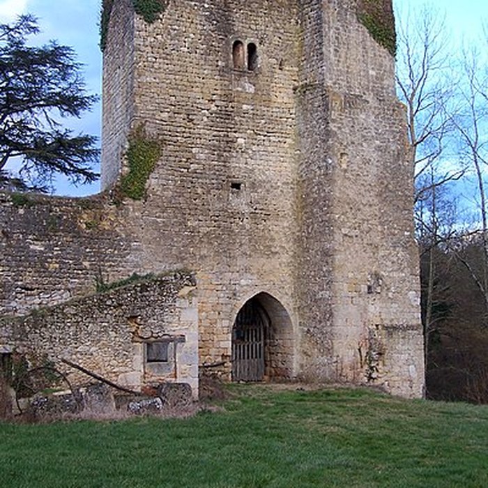 Photo de Château de Pommiers