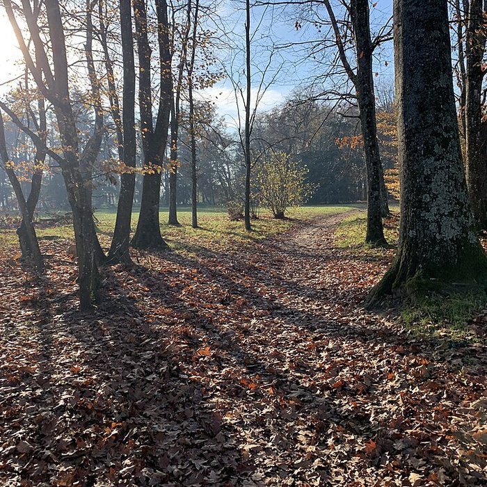 Photo de Château de Pont-de-Veyle