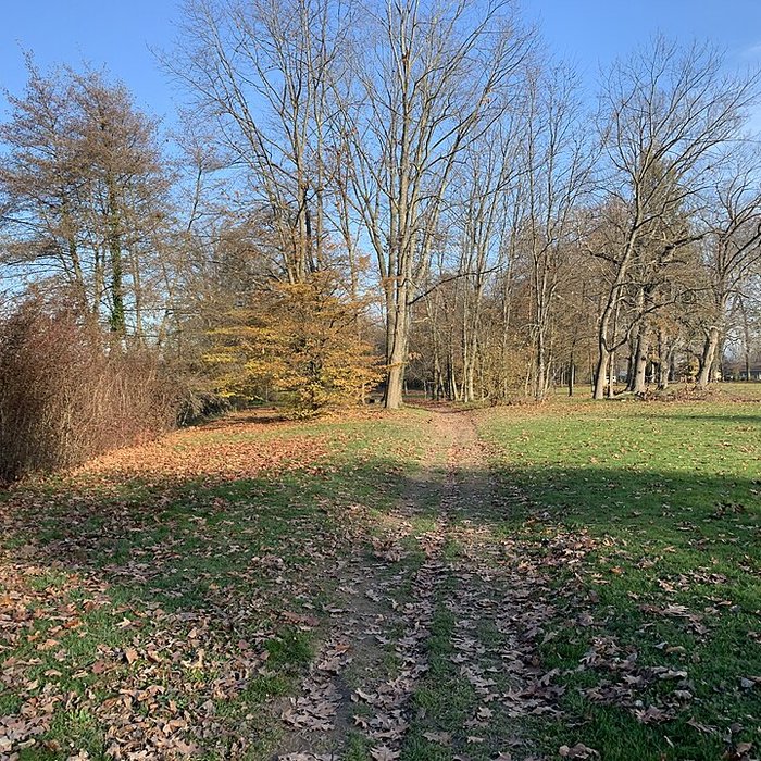 Photo de Château de Pont-de-Veyle
