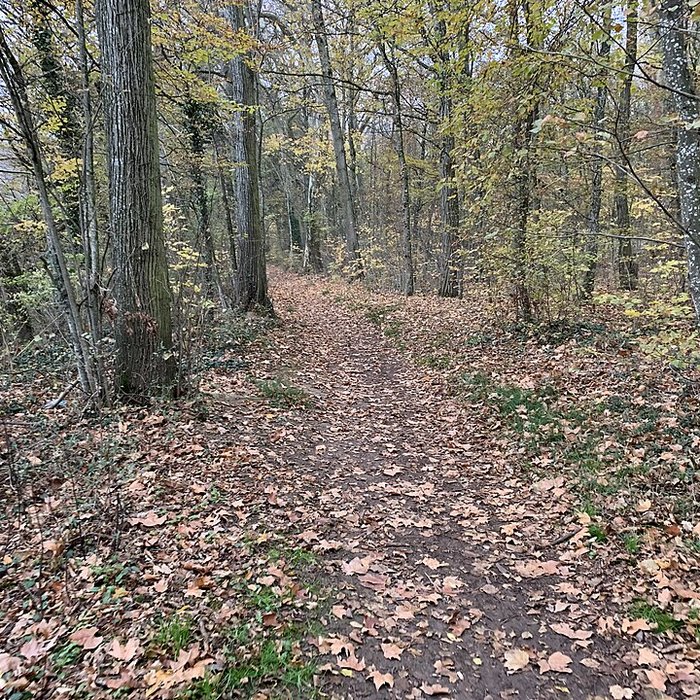 Photo de Château de Pont-de-Veyle