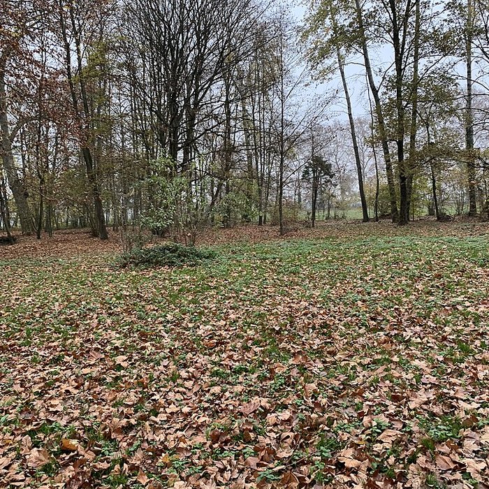 Photo de Château de Pont-de-Veyle