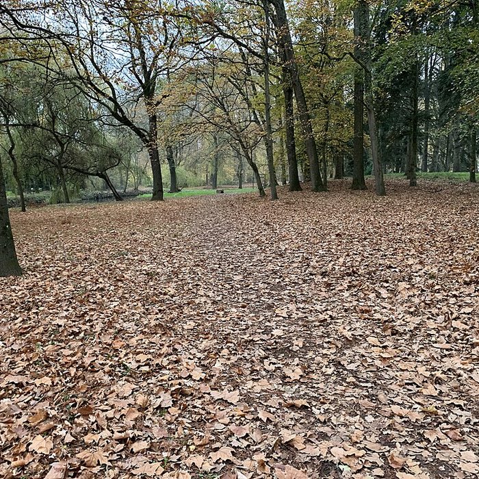 Photo de Château de Pont-de-Veyle