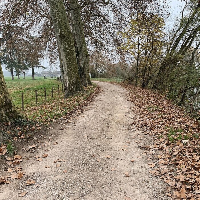 Photo de Château de Pont-de-Veyle