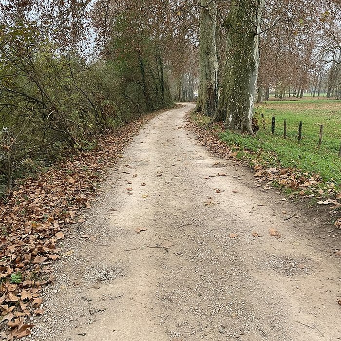 Photo de Château de Pont-de-Veyle